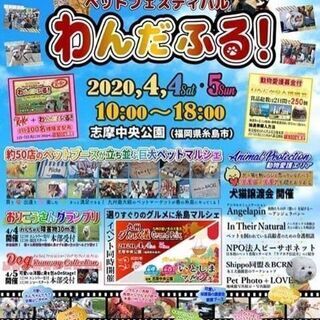 九州最大級のペットフェス わんだふる！に出店します❣