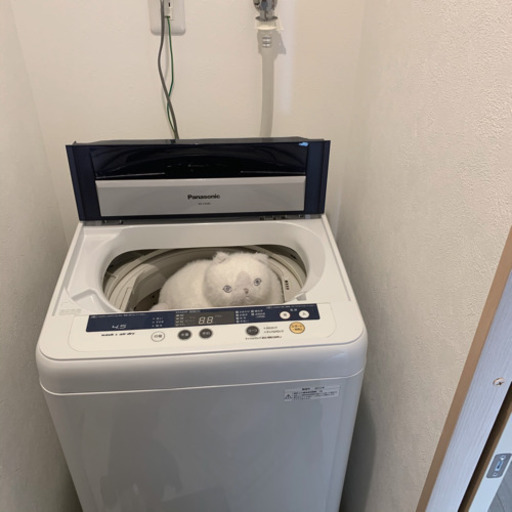 急募　Panasonic 洗濯機4.5kg