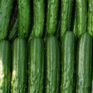 農業パート募集！！の画像