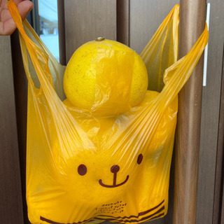 文旦　5個で200円の画像