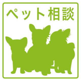 初期費用ゼロペット可フルリフォーム - 不動産