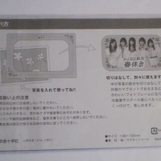 乃木坂46 マグネット フォトフレームの画像