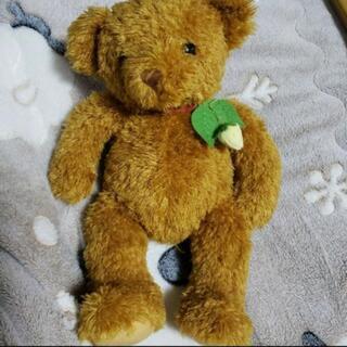 Wild Strawberryのテディベアの画像