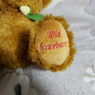 Wild Strawberryのテディベアの画像