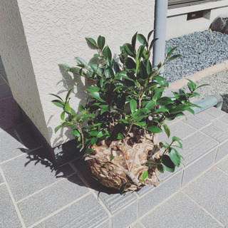 生活救急サービス　スタッフ募集