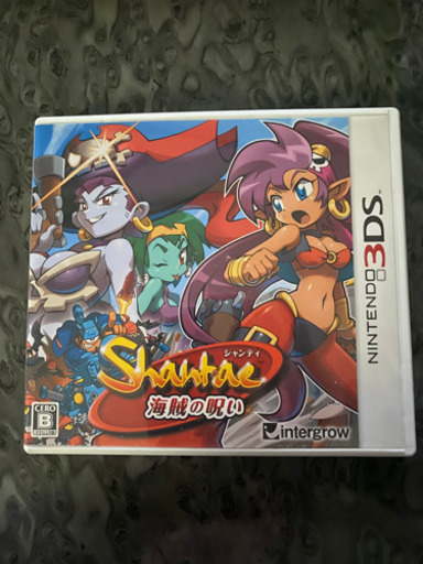 3DSソフト　中古品　シャンティ　送料込み