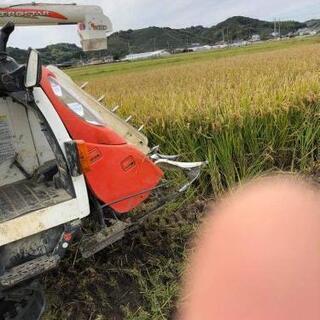 草刈り、剪定