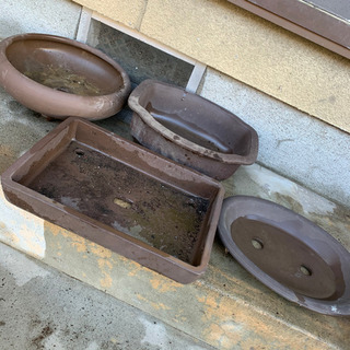 値下げ盆栽用鉢Bセットの画像