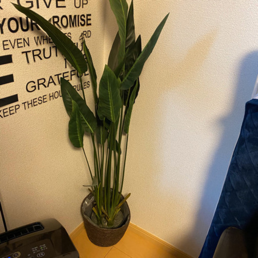 フェイクグリーン　インテリア　人工観葉植物