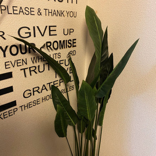 フェイクグリーン　インテリア　人工観葉植物の画像