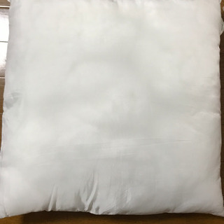 ヌードクッション　45✖︎45 2つの画像