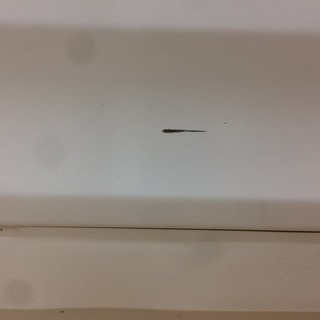 大特価！大容量！Panasonic(パナソニック)のドラム式洗濯乾燥機のご紹介です！