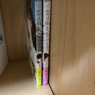 恋は雨上がりのように 眉月じゅん