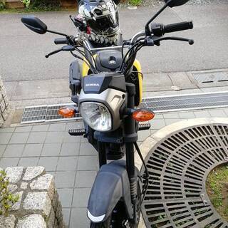 HONDA NAVI110ccの画像