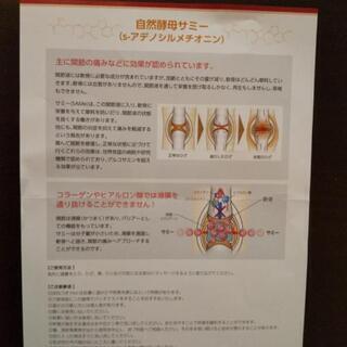 ほねつぎHotの画像