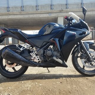 発送可★ホンダ CBR250R MC41 動画有★交換下取り上取り可札幌 の画像