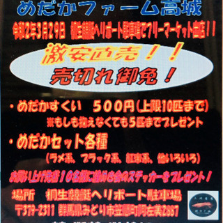 緊急報告❗️【めだかファーム高城】煌会からのフリマ出店