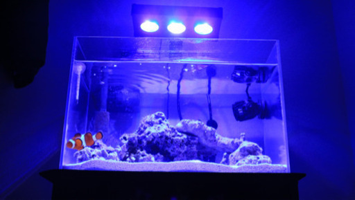 オルカ オプティマスリーフナノ