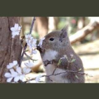 ただそばに居るだけ