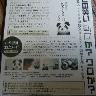 アメトーーク、やさぐれパンダの画像