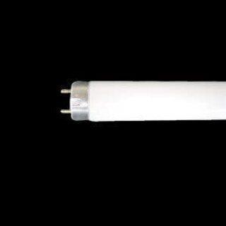 未使用　直管蛍光灯　3本　40W 昼白色 ラピッドスタート形 省...
