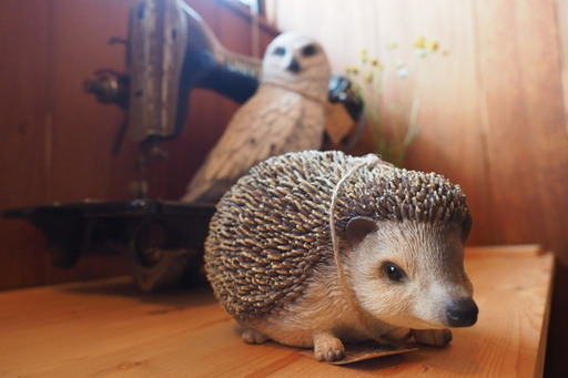 【新品/発送OK】Hedgehog ハリネズミ 自宅、お店の素敵なオブジェに！ / はりねずみ カメラ オリンパス パナソニック SONY ニコン キャノン