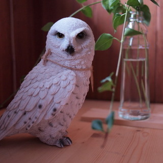 【新品/発送OK】 White Owl 白 フクロウ 自宅、お店...