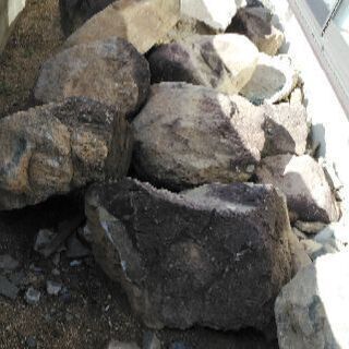 庭石をお譲りします。の画像
