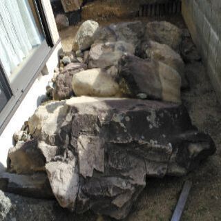 庭石をお譲りします。の画像