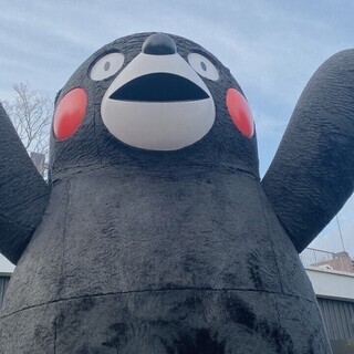 ⭐熊本カメラ部(オプチャ)