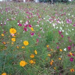 無料⭐4月3日⭐健康講座⭐開催します✨
