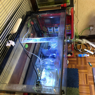 90センチアクリル水槽