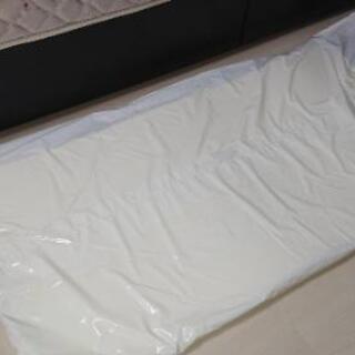 ミニトゥルースリーパー