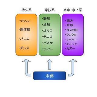 【南城市限定！】親子で受講OK！単発水泳レッスン（すべて込みで17,200円）の画像