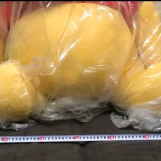 特大プーさんぬいぐるみの画像