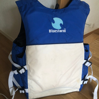 救命胴衣の画像