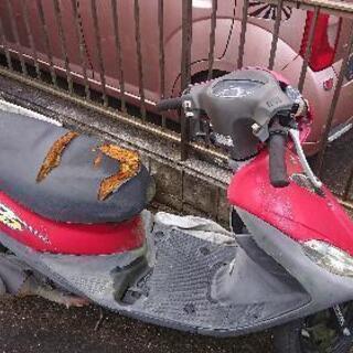 こちら、ホンダDd50です。