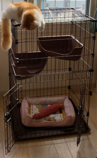 猫用 ケージ