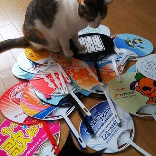 不必要なうちわお譲りください 
