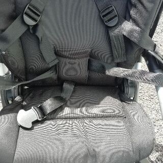 Bugaboo beeの画像