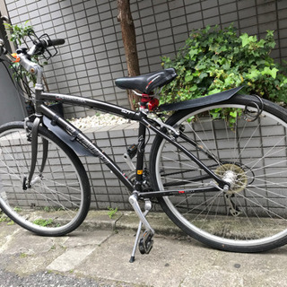 ☆特選NEW☆希少レア☆奇跡の癒しの石【美容健康☆シュンガイトラフ