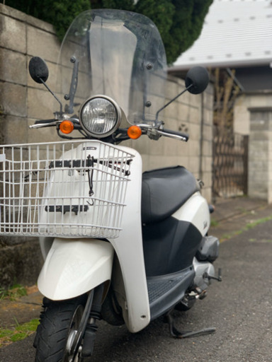 大型バスケット、ウインドスクリーン付きAF61