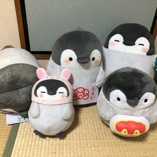 こうペンちゃんの里親探してます。