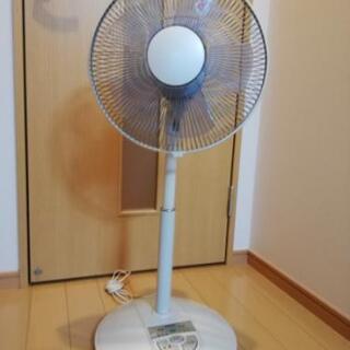 Iwatani 扇風機