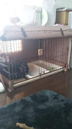 犬用ゲージ