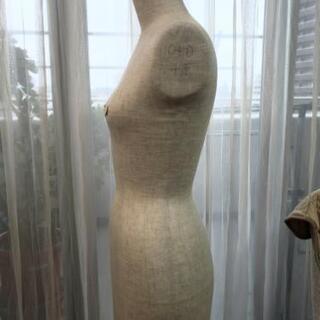 洋裁用ボディの画像