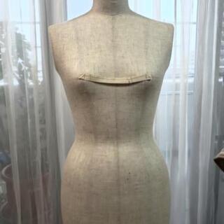 洋裁用ボディの画像