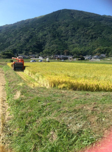 令和元年　ヒノヒカリ　30kg 玄米