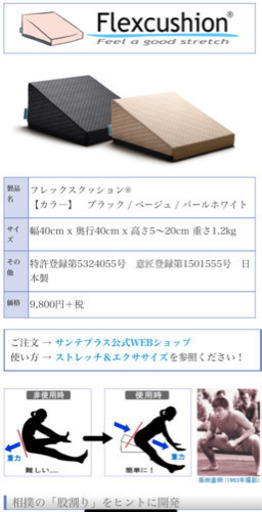 サンテプラス　フレックスクッション　sold out