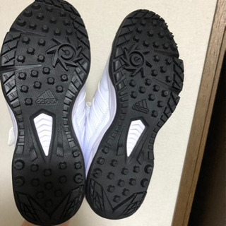 adidasスパイク　ミズノトレーニングシューズの画像